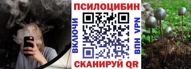 Псилоцибиновые грибы Cubensis  Яблоновский 